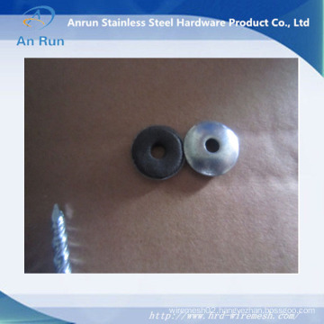 Metal Roofing Nails with Washer/Roofing Nail with Plastic Washer